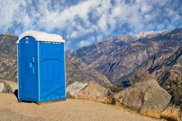 Best Portable Toilets with Baby Changing Stations in Buchanan, GA